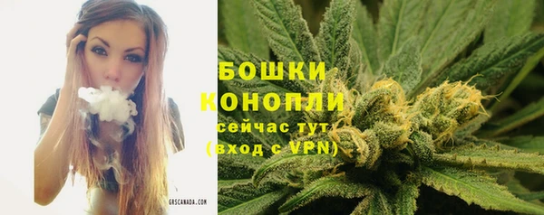 винт Бронницы