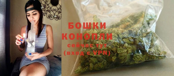 винт Бронницы